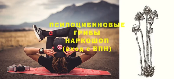 метадон Заволжье