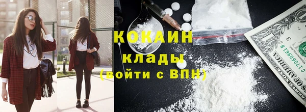 винт Ельня