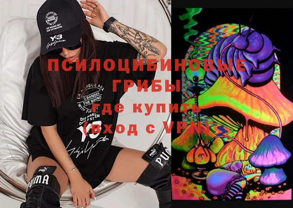 винт Ельня